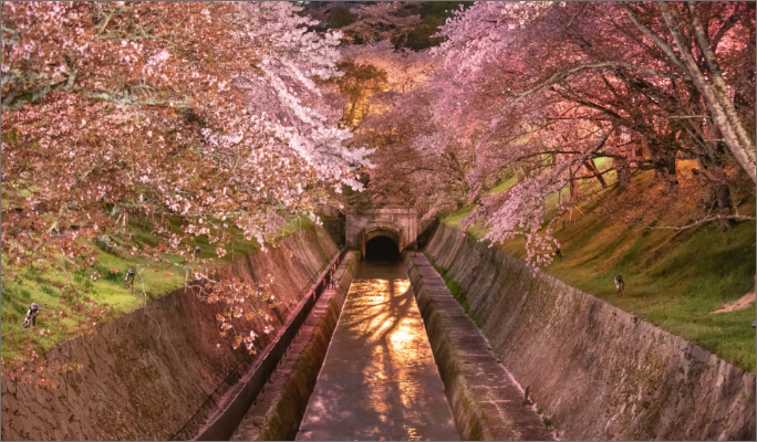 観光プロモーション写真例